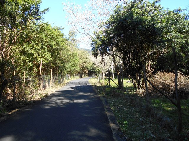 Une grande clairière à l'approche du Centre