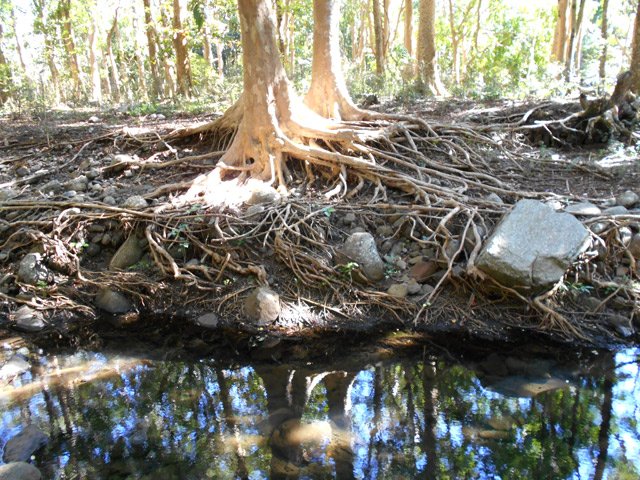 Les amateurs de natures mortes n'oublieront pas leur appareil photo