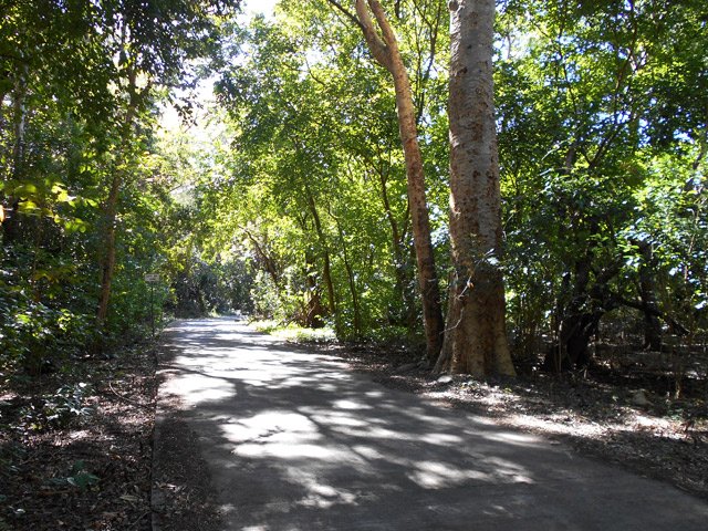 Et toujours de l'ombre pour cette agréable montée