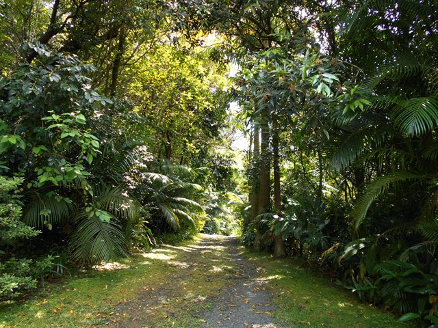 Visite du jardin sauvage qui entoure le gîte