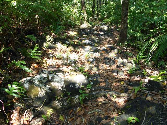 Le GRR2 est toujours en bon état mais comporte racines et cailloux