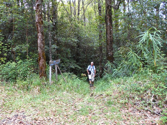 L'arrivée à la Route Forestière des Camphriers