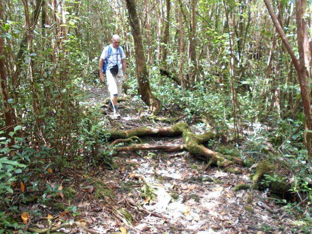 La descente jusqu'à la maison forestière n'est jamais raide