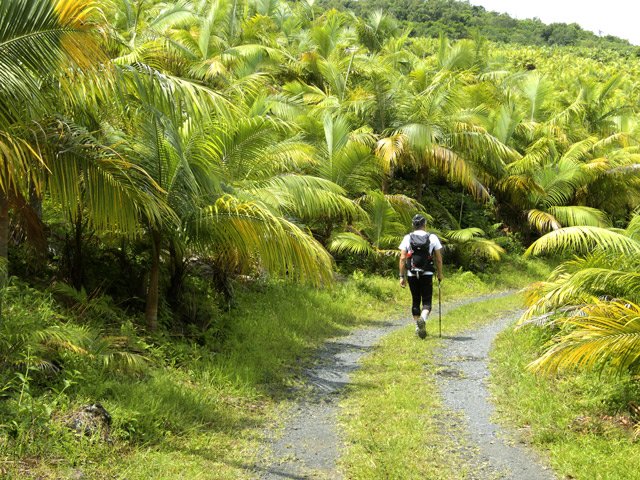 La montée est très faible et la marche agréable
