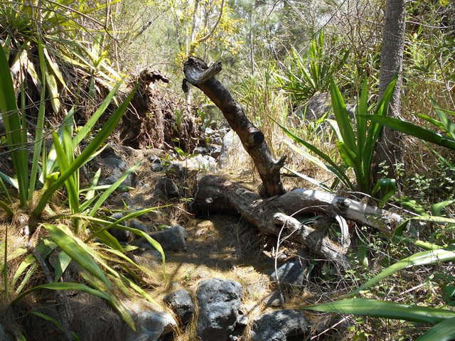 Point de repère pour ne pas se tromper de ravine