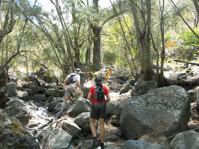 Dernier point de repère. Tourner après cet ilot de filaos