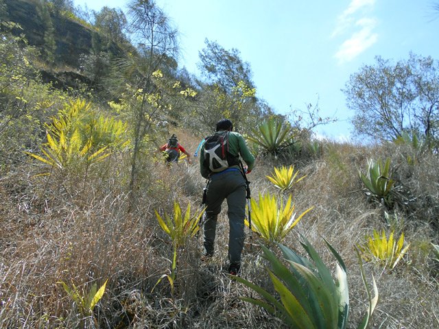 La montée est tout d'abord aisée dans ces herbes sèches