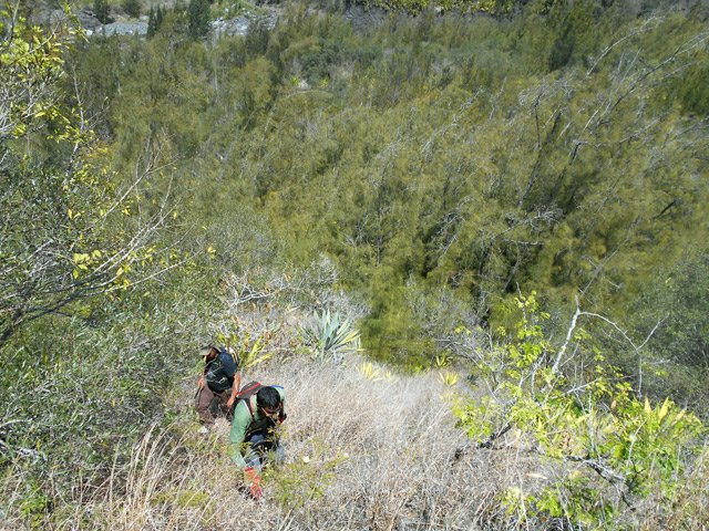Puis la pente s'accentue parfois fortement