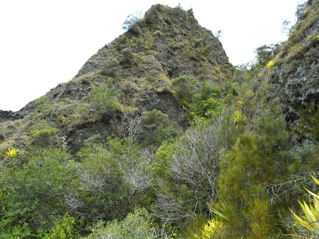 Toute la région est déchiquetée par les effondrements