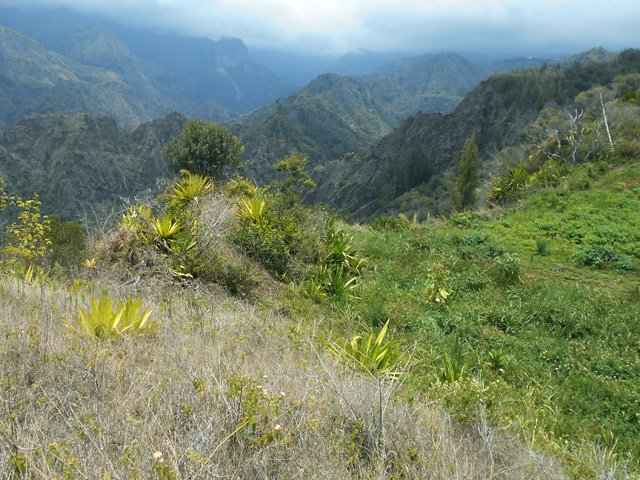 Arrivée au premier champ de la famille Maillot