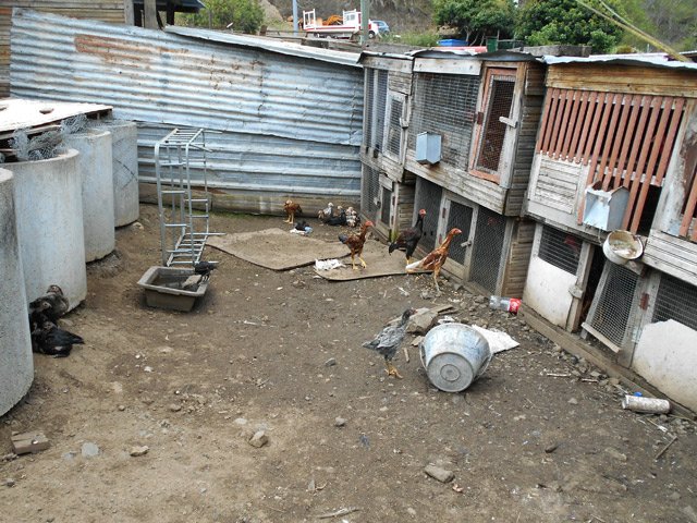 On se nourrit ici des produits 'la cour'