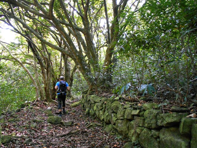Les premiers vestiges de travaux à l'approche de lîlet