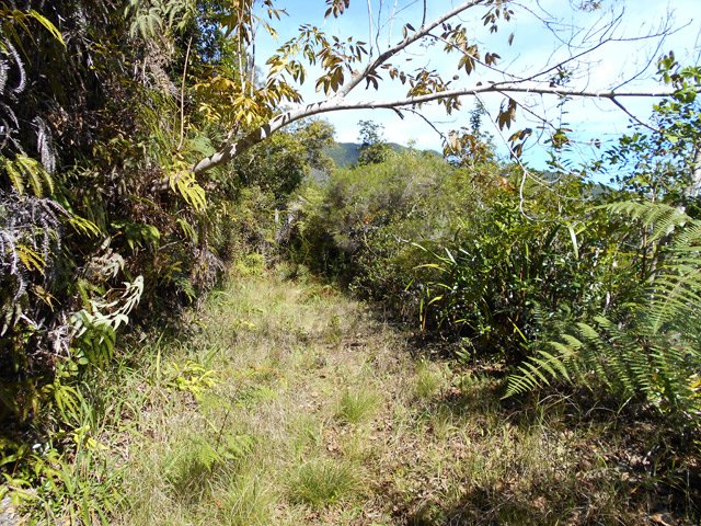 La piste est parfois très large à l'approche du captage