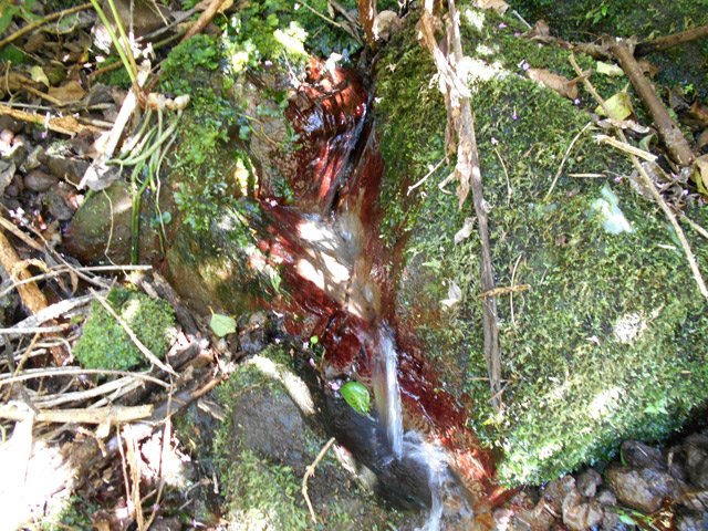 Une délicieuse eau fraîche coule d'une source entre les roches