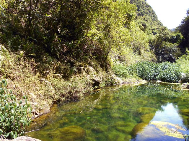 Les limons au fond des bassins n'encouragent pas du tout à la baignade
