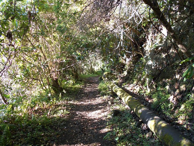 Quelques portions sont ombragées