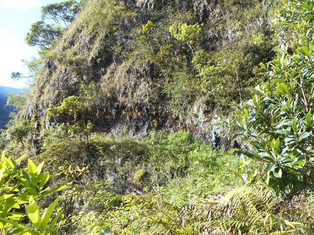 Le cheminement s'effectue la plupart du temps à plat ou en très légère pente