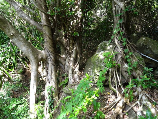 On passe près de plusieurs affouches dont celui-ci qui est magnifique