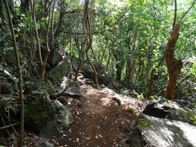 Une partie plate du sentier vers le point de vue