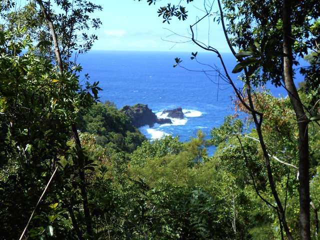 On aperçoit l'île une première fois dans une trouée de la végétation