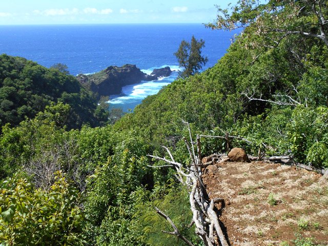 Le belvédère artificiel pour observer les oiseaux et l'île