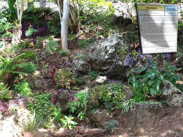 Aucun endroit, de la route au sentier, n'est laissé en friche