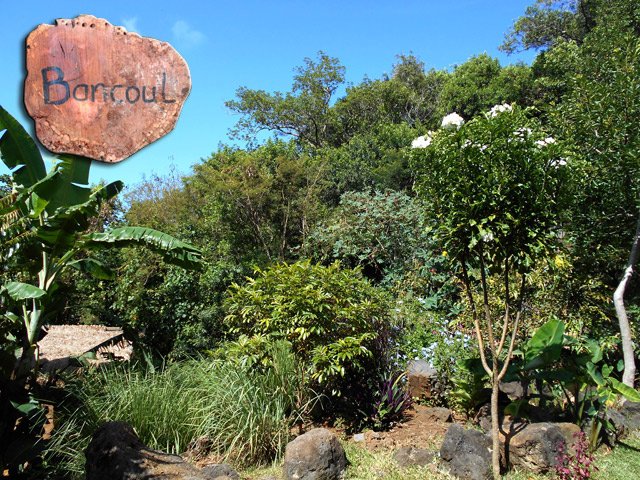 Tout l'espace est planté de fleurs, d'épices, de médicinales ou de fruitiers