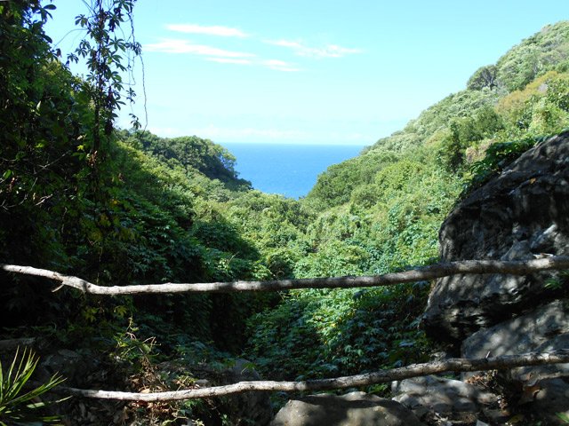 Un point de vue dans la partie forestière de la boucle
