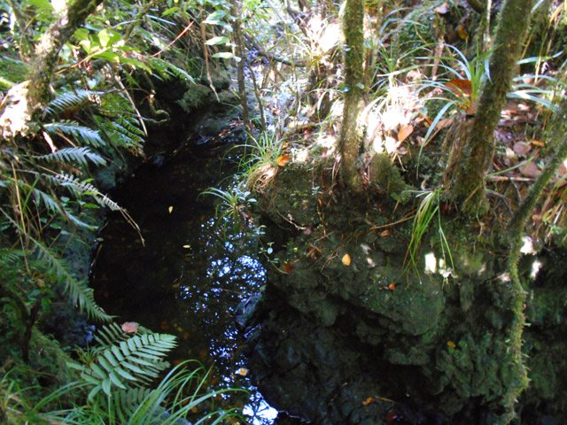 On longe une vingtaine de bassins profonds, étroits et sauvages
