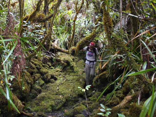 L'endroit, inondé de verdure, est magnifique