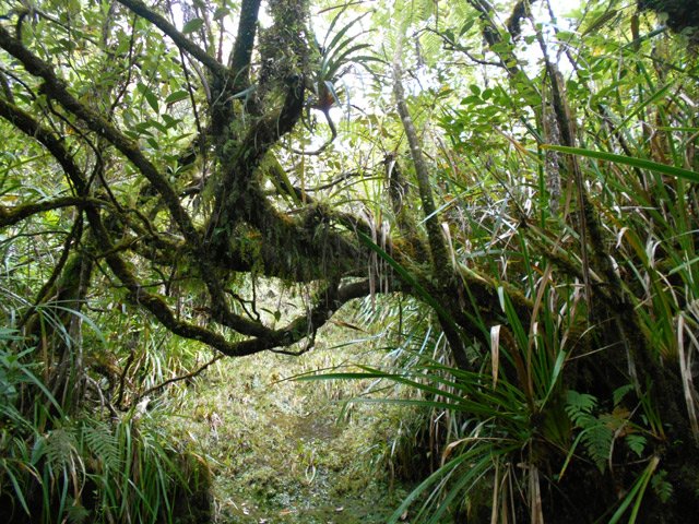 La photo la plus importante de la fiche. Tourner à droite pour quitter la ravine