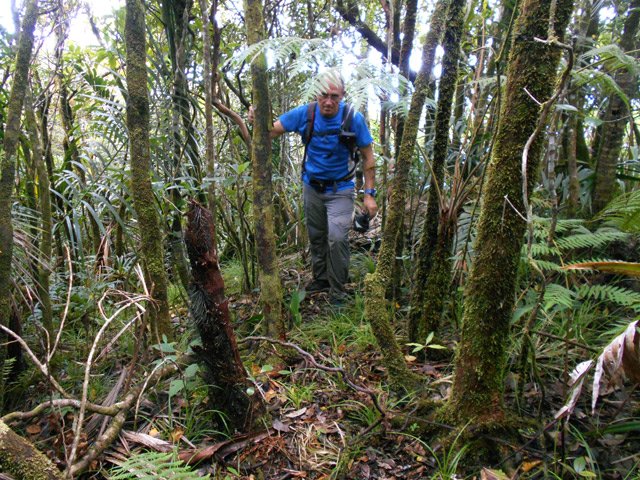 Le sentier semble parfois plus difficile à suivre mais impossible à perdre