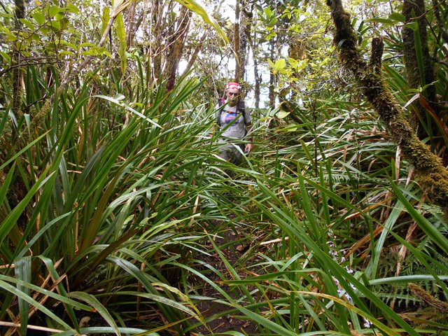 A 1100 mètres, les sabres s'intensifient mais ne masquent toujours pas le sentier