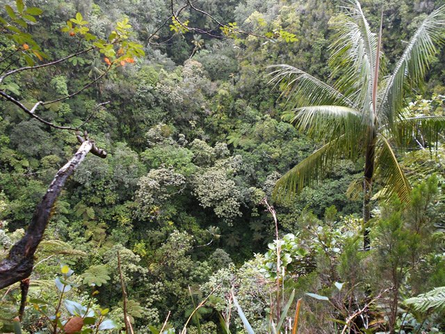On a une meilleure vue d'ensemble depuis la ravine au nord