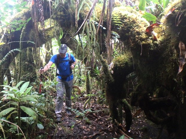 Quelques portions boueuses vers le piton