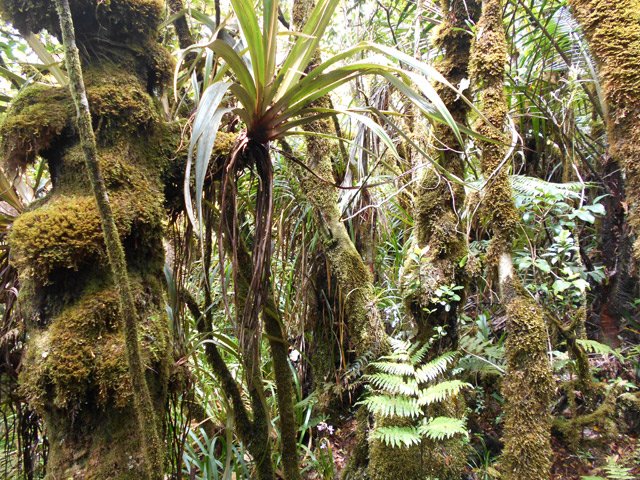 Toujours autant de mousse au moment du demi-tour à 1250 m