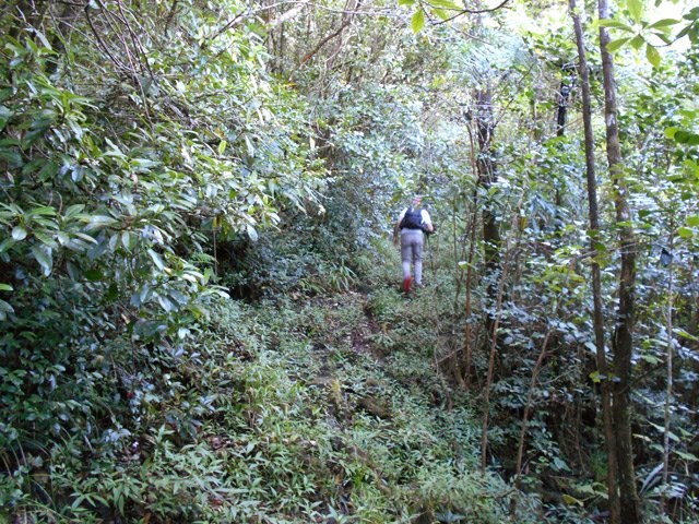 Le sentier de Bras Plat n'a pas changé depuis sa fermeture