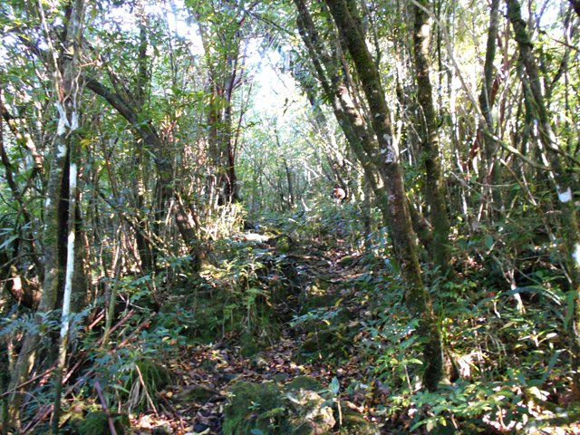 Le large sentier vers le nord est facile à trouver dans le virage