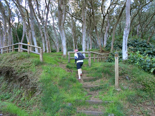 Début du Sentier Mario vers le mirador et le Petit Bénare