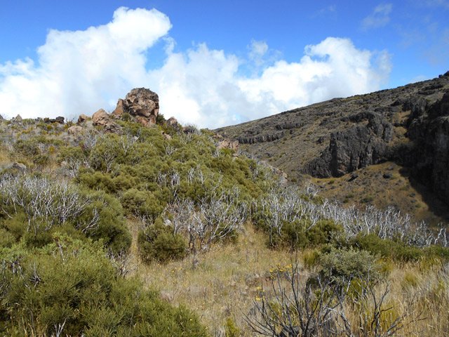 Les tous premiers mètres de la Ravine de Bellevue, déjà très rocheuse