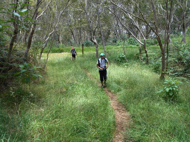 Le sentier Mario, très agréable, coupe plusieurs fois la route forestière