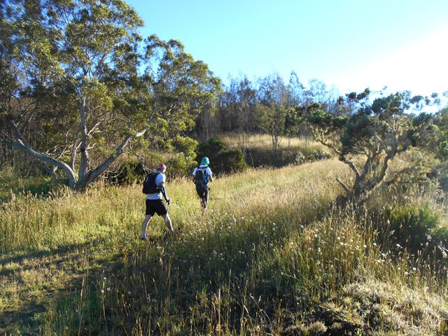 La Route Forestière du Haut Tévelave