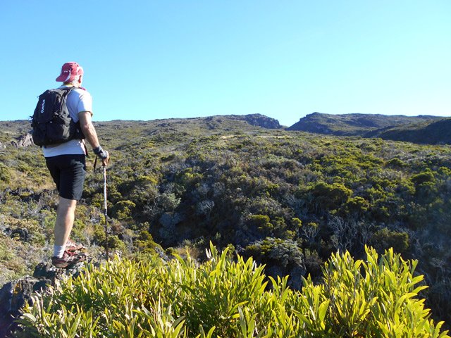 La partie basse (et haute à l'horizon) de la Ravine de Bellevue