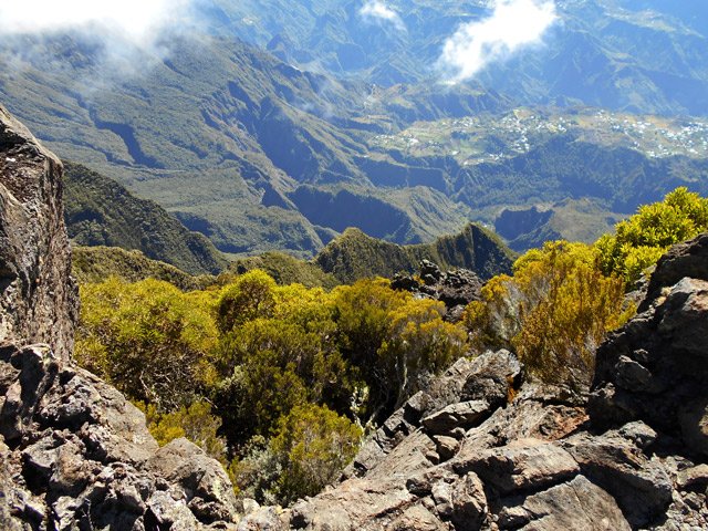Des vues inédites sur Cilaos ou la Forêt du Tapcal