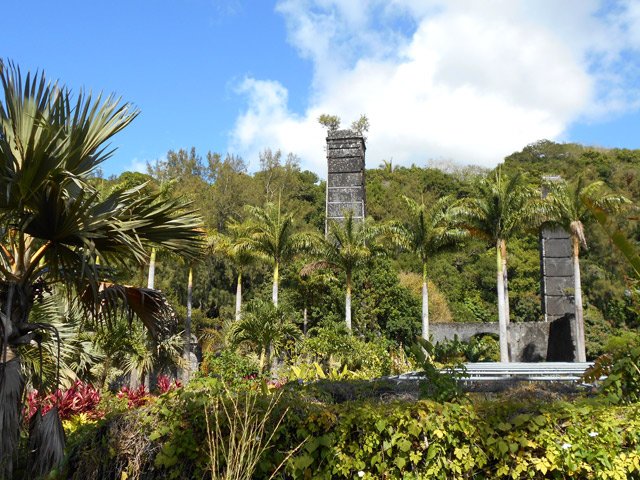 Depuis la route, vue sur les deux cheminées de l'usine dans la pépinière de la commune