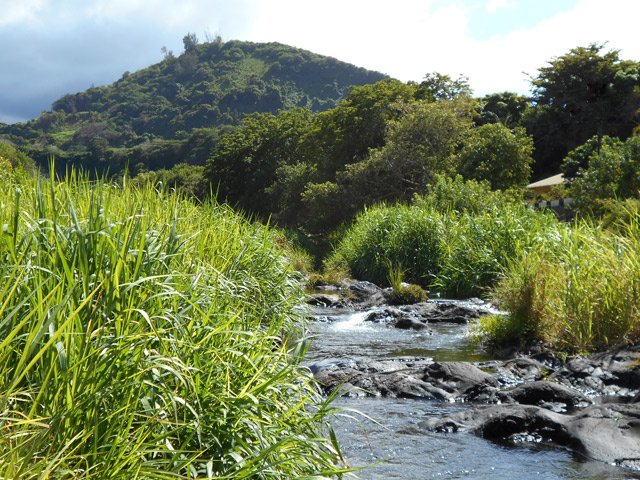 Le Piton Lambert, tout proche