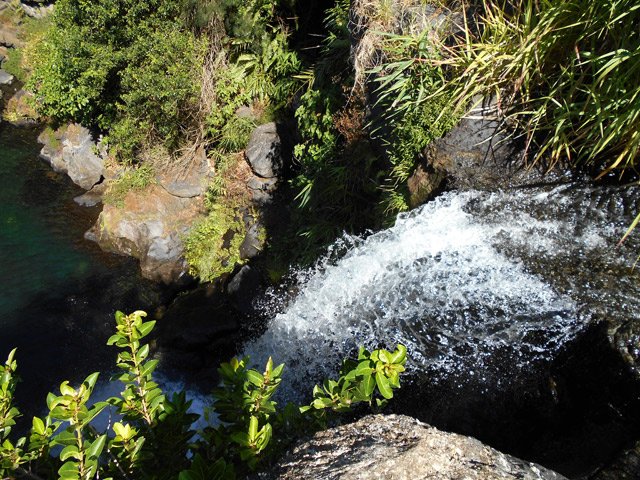 Le danger de glissade provient des déjections de pigeons qui vivent là