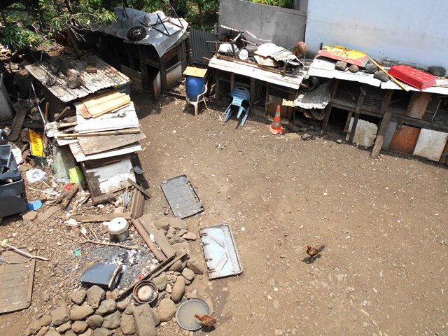 Poulaillers très rudimentaires contre l'escalier menant à la passerelle