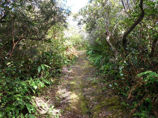 Le sentier est parfois très glissant sur les parties lisses