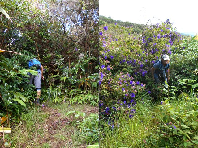 L'entrée et, 15 m plus loin, la sortie du passage délicat